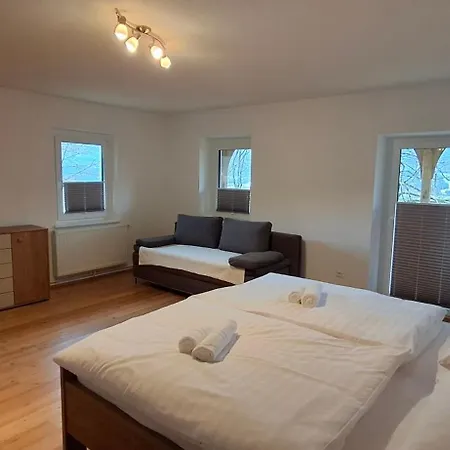 Ferienhaus Waldesruh - Heinz Und Gisela Friederichs Stiftung Apartment