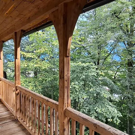 Ferienhaus Waldesruh - Heinz Und Gisela Friederichs Stiftung Saak